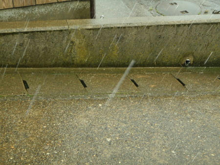 P6090183kl13.jpg