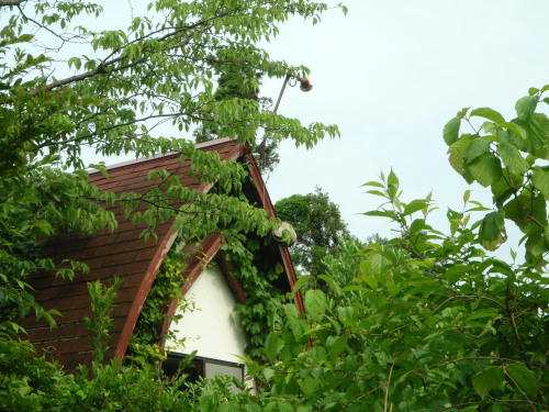 P6090210op1.jpg