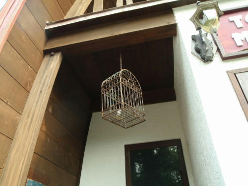 P6090209op4.jpg