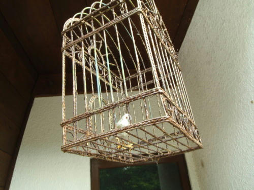 P6090207op5.jpg