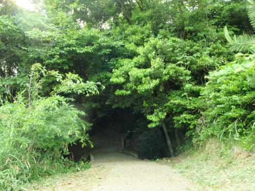 P6090219op9.jpg