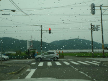 P6120278op1.jpg