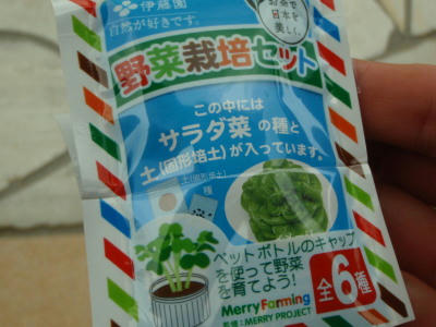 P6100249op4.jpg