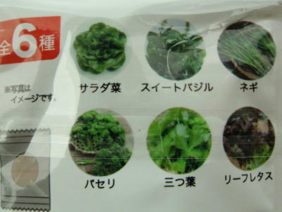 P6100250op5.jpg