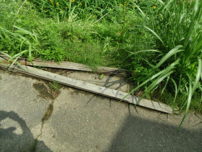 P6130283op1.jpg