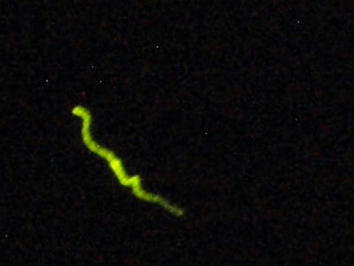 P6130391op9.jpg