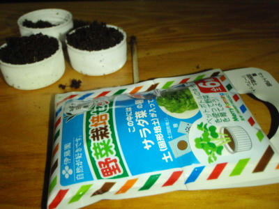 P6140476op8.jpg