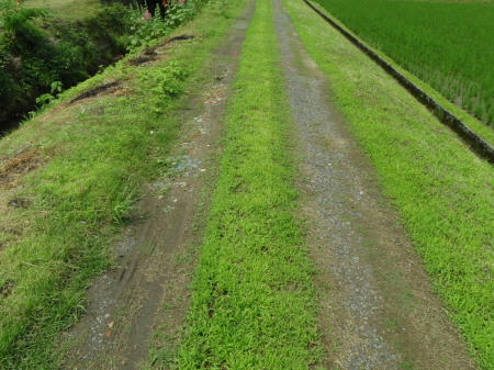 P6130295kl1.jpg