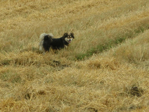 P6130308kl6.jpg