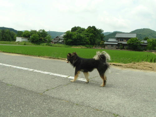 P6130317kl12.jpg