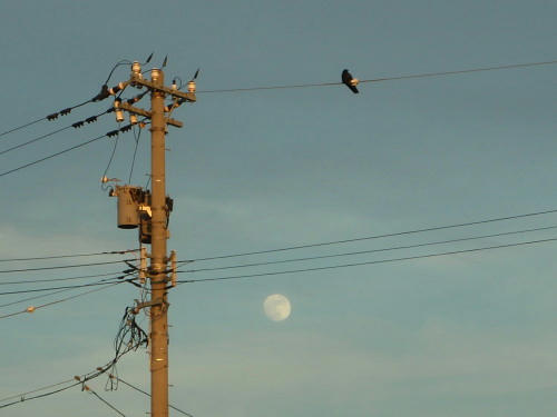P6140473kl6.jpg