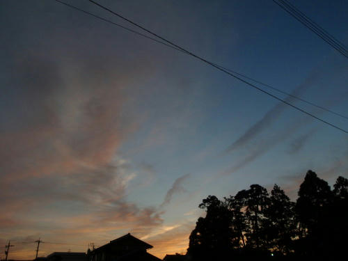 P6140474kl7.jpg