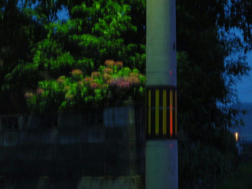 P6160056kl9.jpg