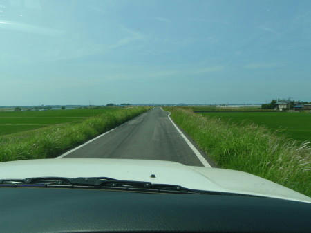 P6170065op3.jpg