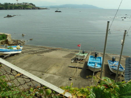 P6170098op13.jpg