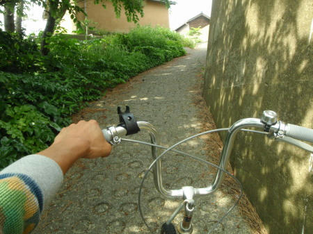 P6170099op14.jpg