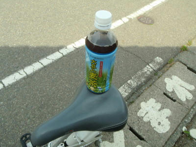 P6170105op16.jpg