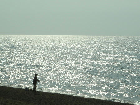 P6170128op21.jpg