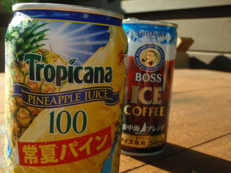 P6170130op22.jpg