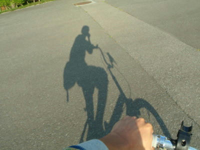 P6170135op23.jpg