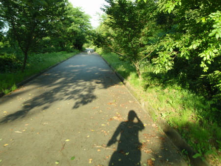 P6170138op1.jpg