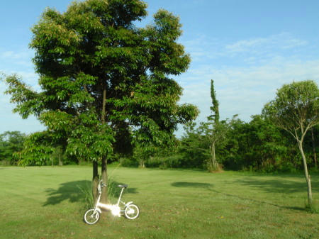 P6170140op3.jpg