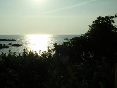 P6170146op7.jpg