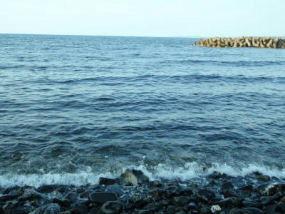 P6170150op10.jpg