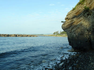 P6170152op11.jpg