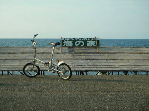 P6170155op14.jpg