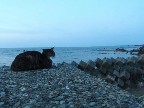 P6170213op3.jpg