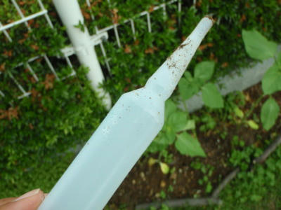 P6220293kl2.jpg