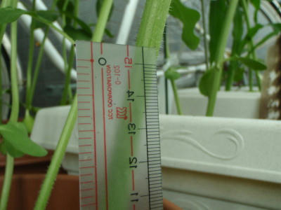 P6220290kl7.jpg