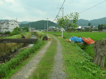 P6230331kl1.jpg