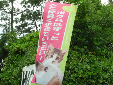 P6240350op6.jpg