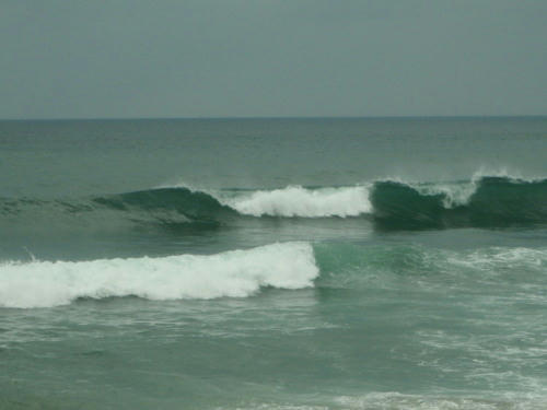 P6240358op7.jpg