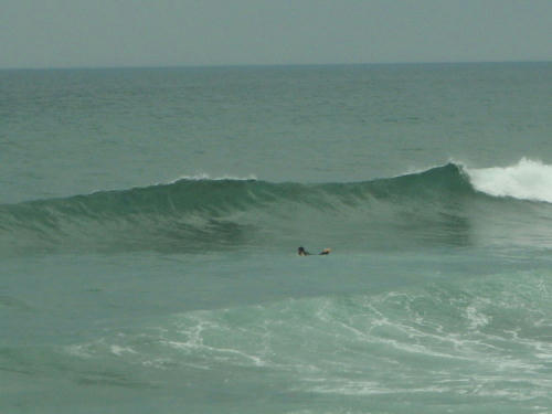 P6240360op8.jpg