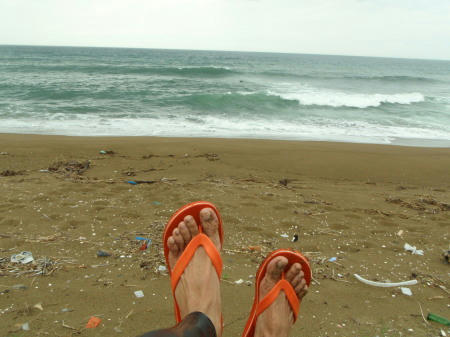 P6240368op13.jpg