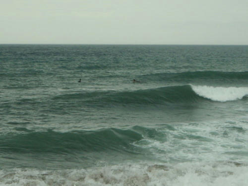 P6240370op14.jpg