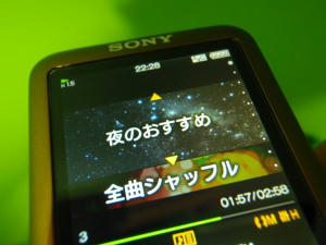 P6240422op3.jpg
