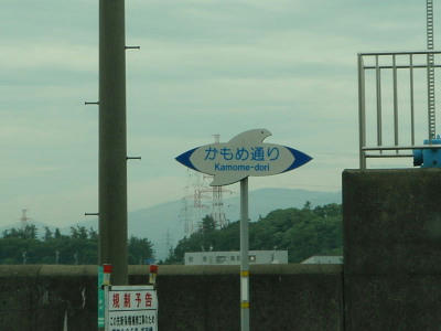 P6260020op3.jpg