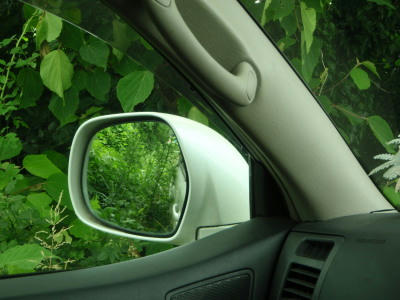 P6260024op6.jpg