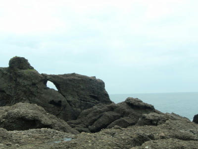 P6260034op2.jpg