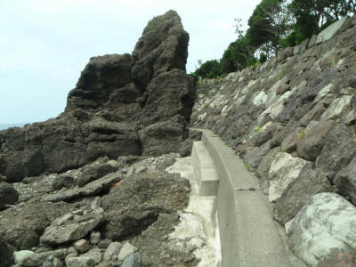 P6260039op5.jpg