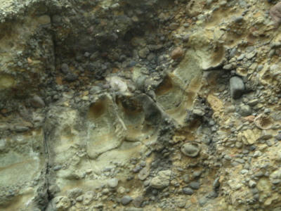 P6260042op7.jpg