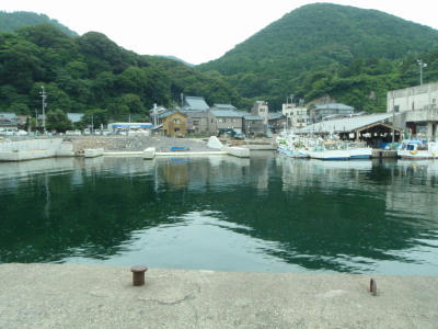 P6260055op3.jpg