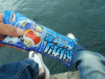 P6260057op5.jpg