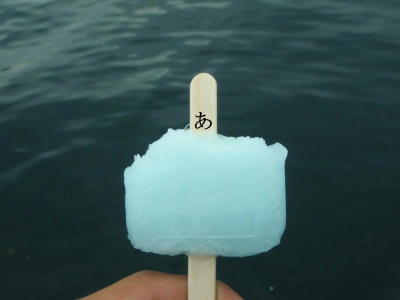P6260059op6.jpg