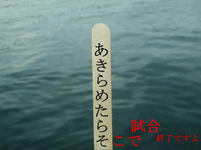 P6260060op7.jpg