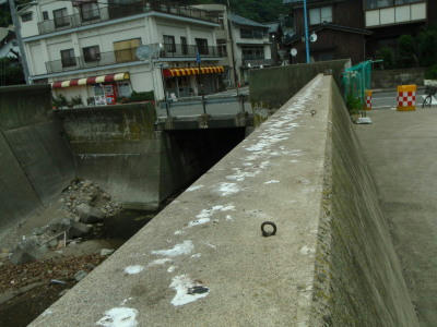 P6260066op11.jpg